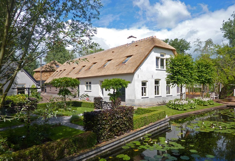 nieuw rietendak chinees riet