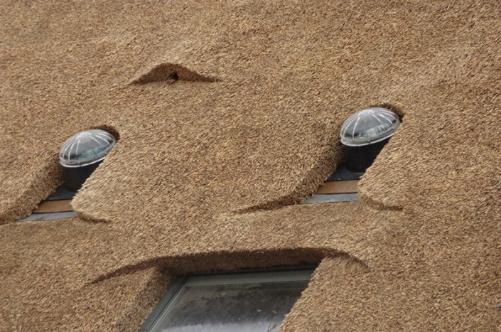 detail rietendak sola tube