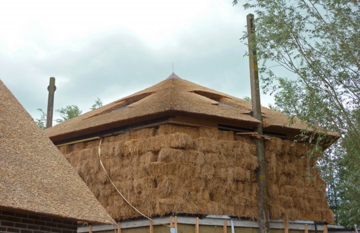 riet bedekte hooiberg chinees riet