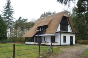 Rieten dak in Bennekom