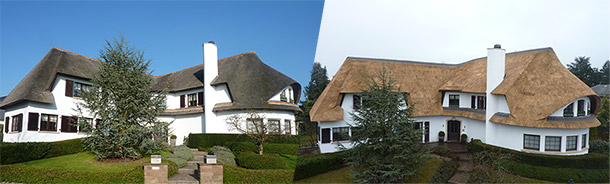 voor en na foto vernieuwen rieten dak